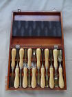 Piece 12 Set Carving Mastergrip Chisel