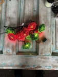 Harley Davidson Trademark Logo String Of Red And Green Lights 10 Piece Set. Fixed Price $17.50.