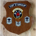 Vintage Vietnam Top "3" Group 3D Aircraft Generation Wood Plaque Usaf Pacaf. Fixed Price $99.50.